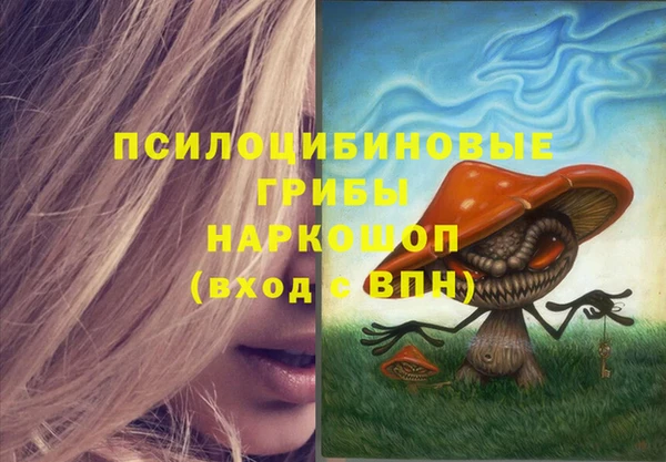 а пвп мука Козловка
