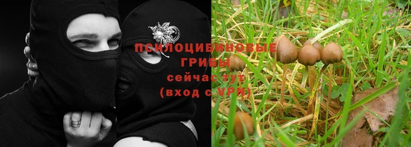 винт Корсаков