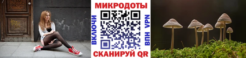 Галлюциногенные грибы Magic Shrooms  Купить  Отрадное 